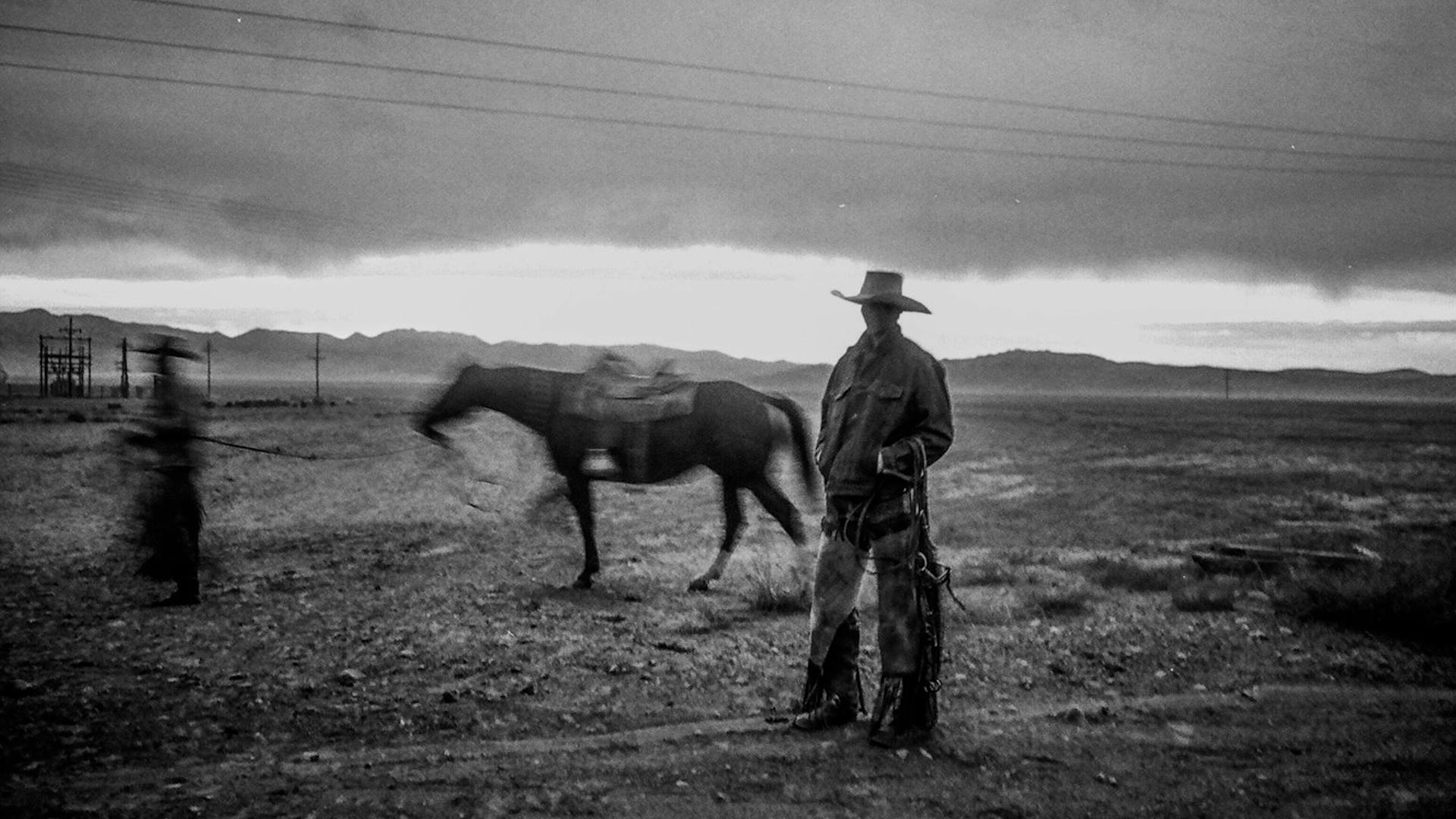 Cowboys: A Documentary Portrait